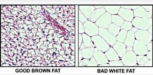 PicsArt_1444326523502